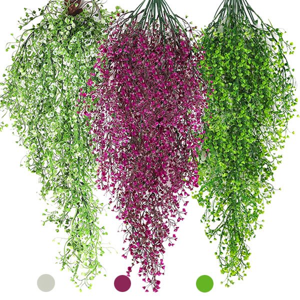 Okrasna viseča rastlina - Ivyplant