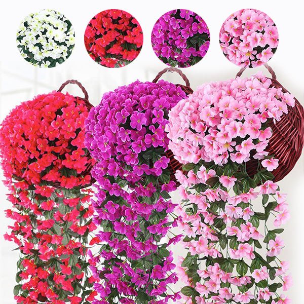 Dekorativni viseči cvet - Hangyplant