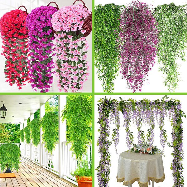 Okrasna viseča roža - Flowers